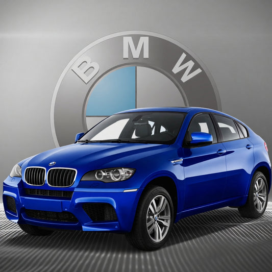 2008-2014 BMW X6 Plug and Play Remote Start Kit (Push Button Start)